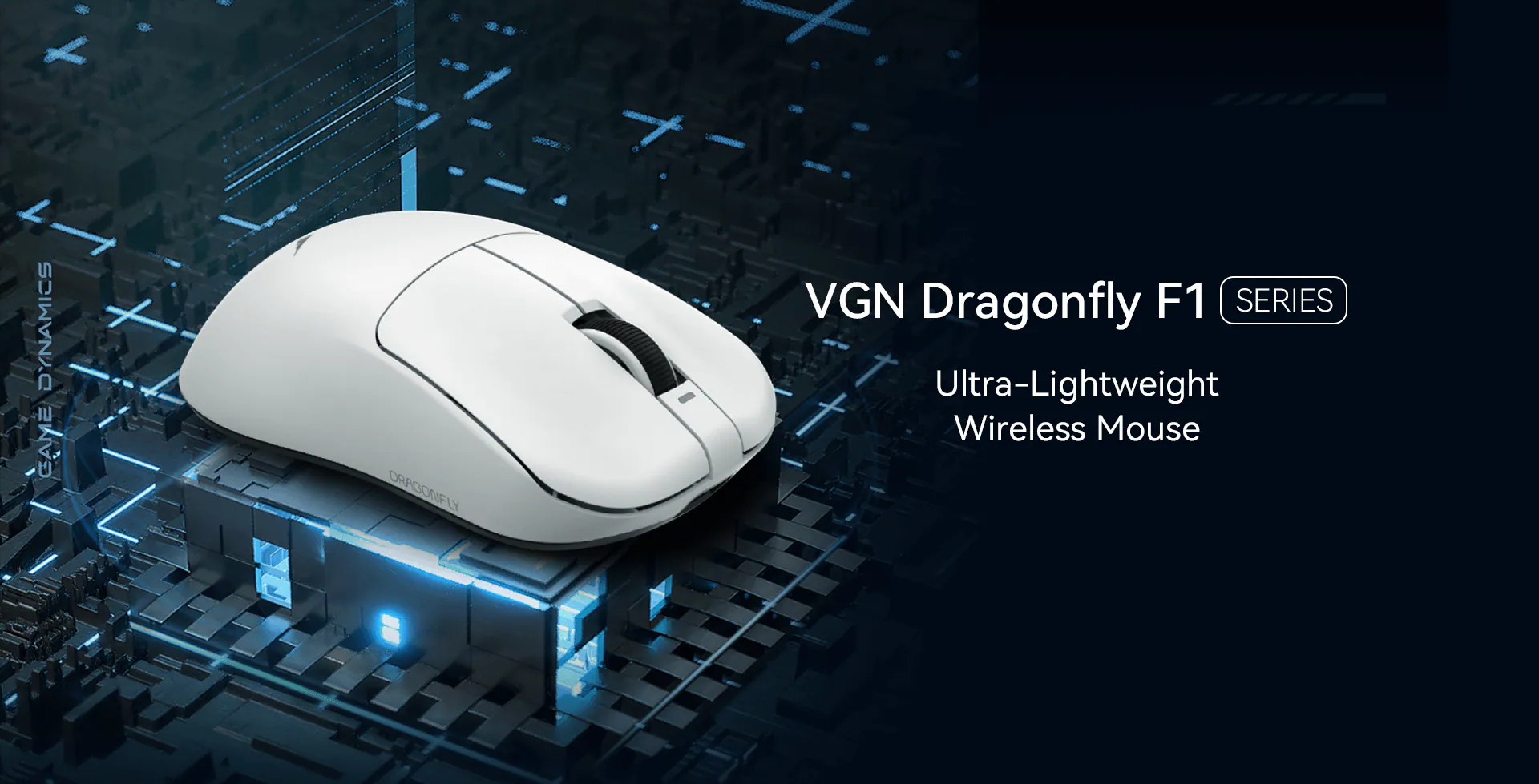 VGN F1 Pro detail 1